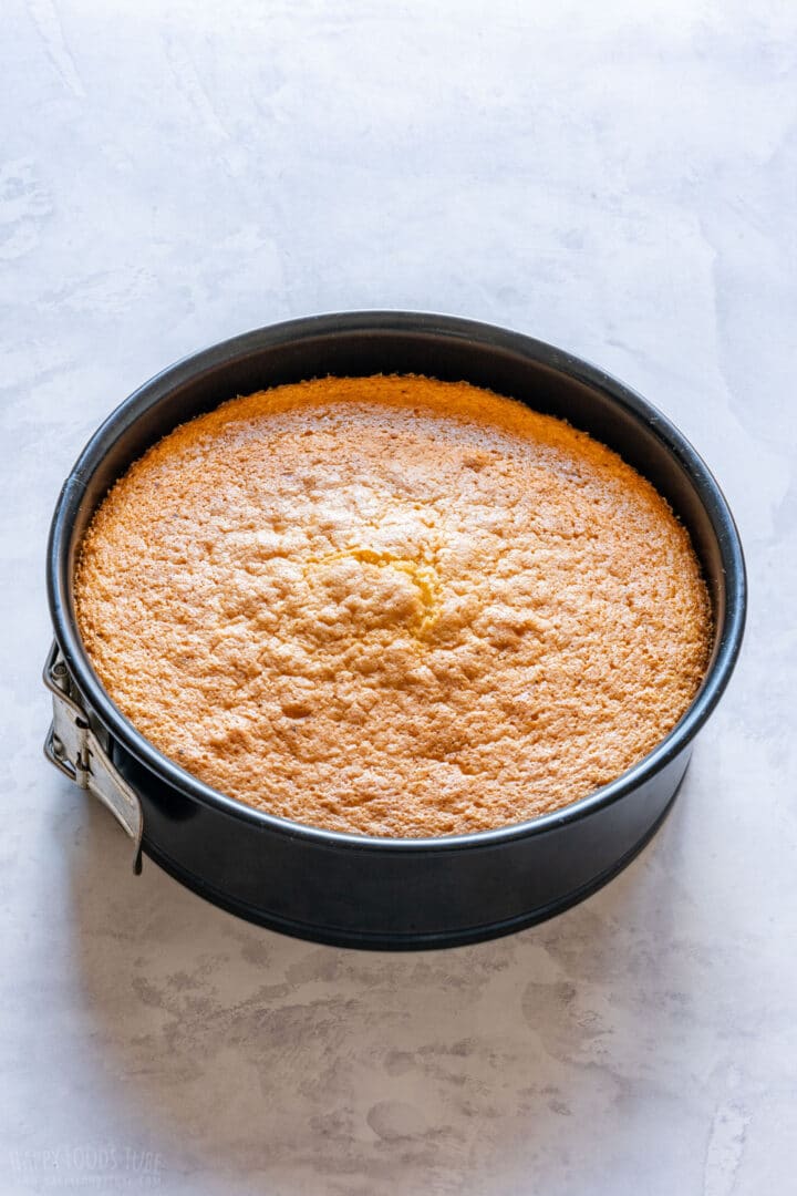 Perfectly baked sponge cake taken out from oven.