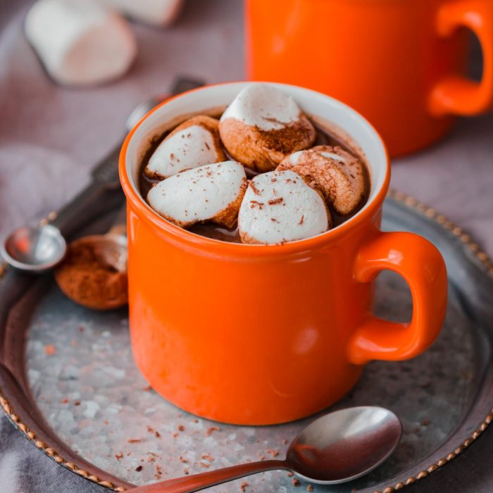 Homemade Hot Chocolate Spiked with Rum