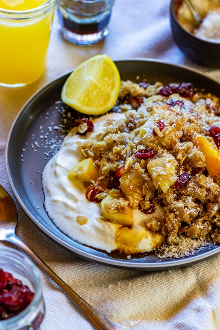 Toasted oatmeal with cranberries and apple