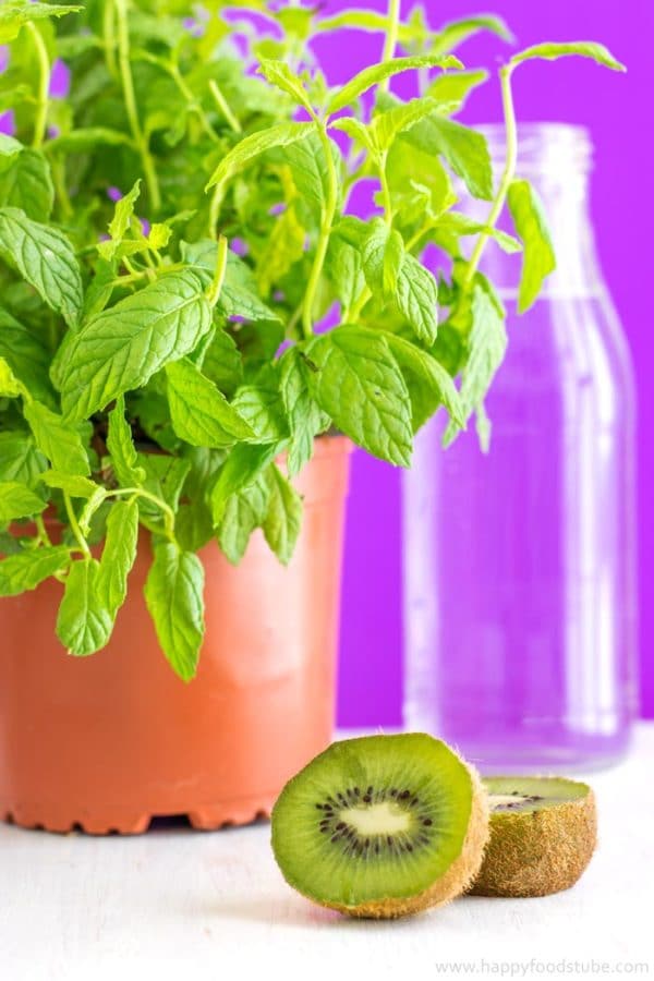 Kiwi and Mint Infused Water Recipe + 5 Tips Happy Foods Tube