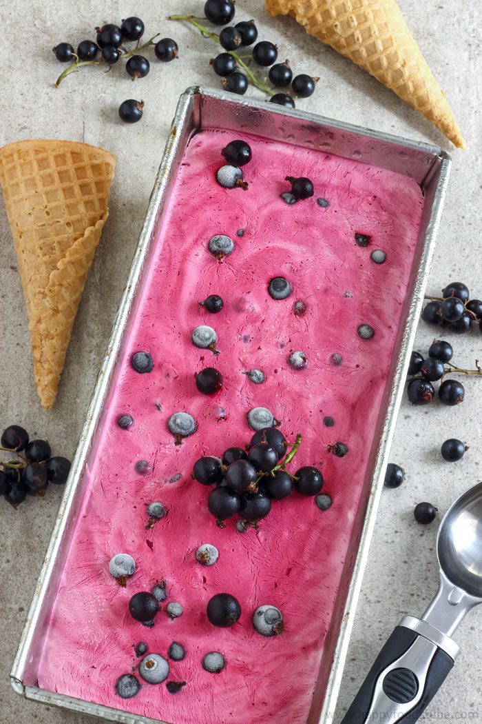 Blackcurrant Ice Cream Pic