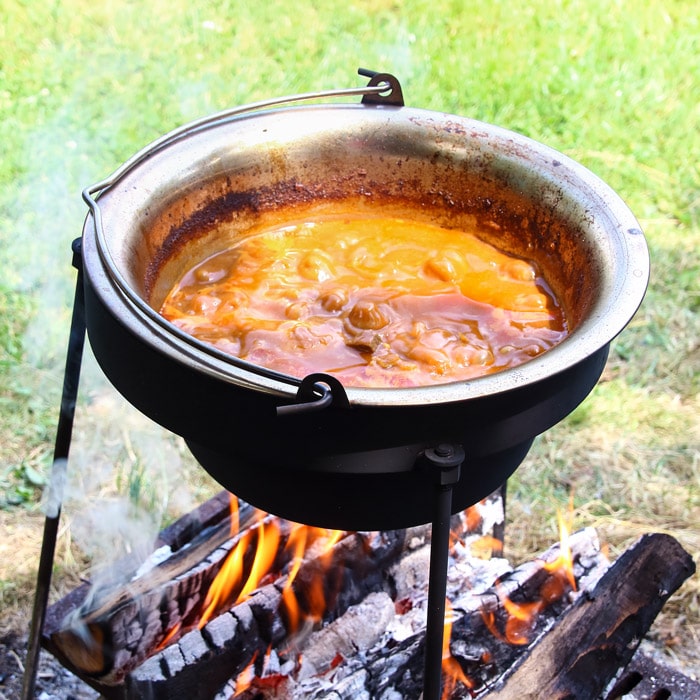 Easy Campfire Dutch Oven Beef Stew - Frugal Camping Family