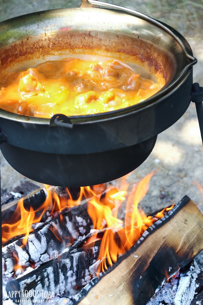 Simple Campfire Stew Pic