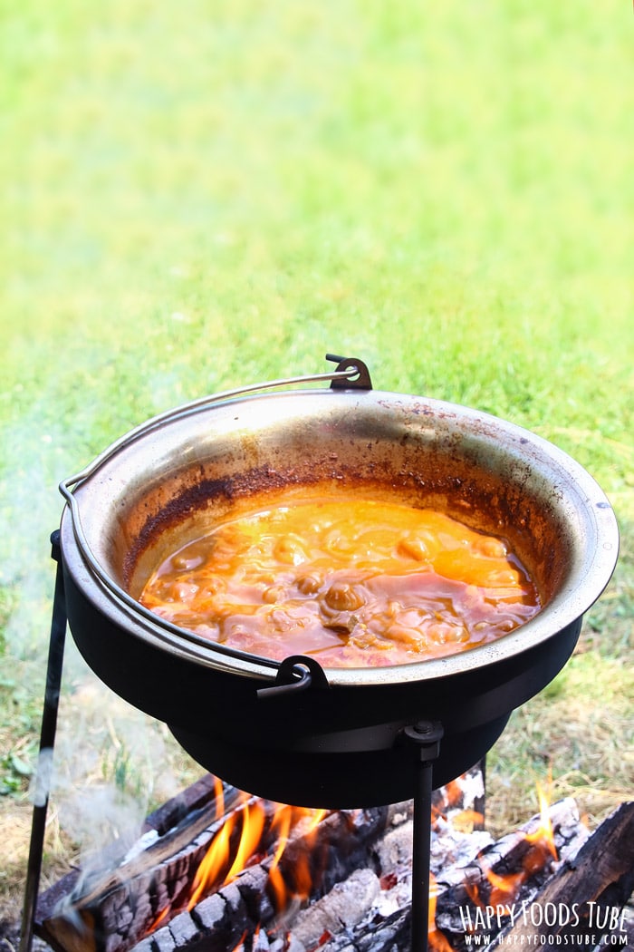 Simple Campfire Stew Picture