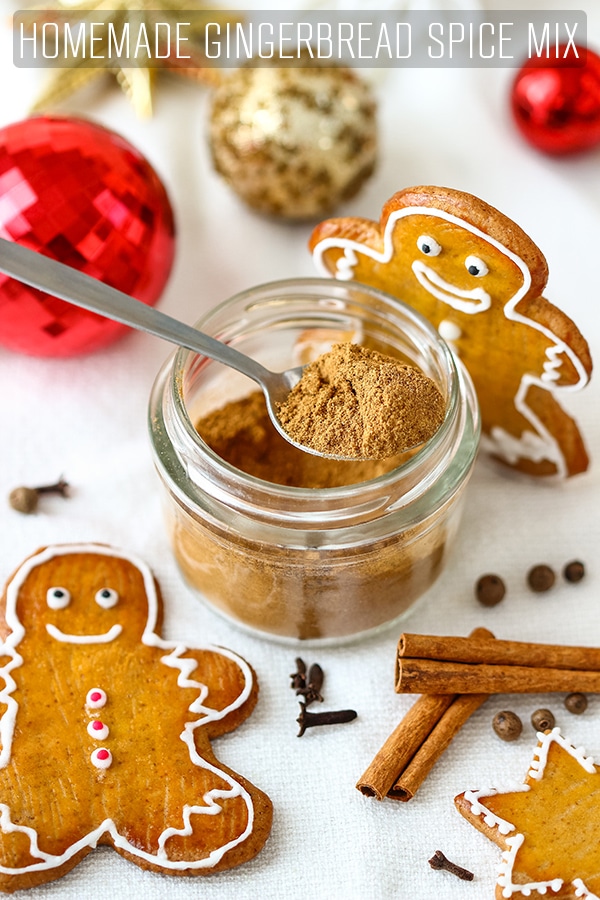 Homemade Gingerbread Spice Mix - Happy Foods Tube