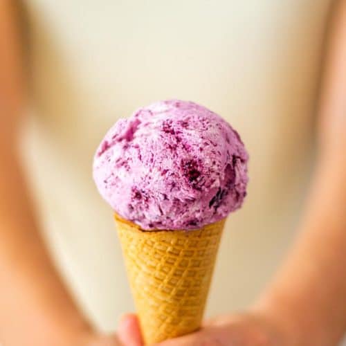 Homemade Blueberry Ice Cream