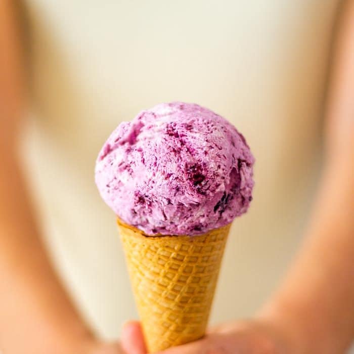 Homemade Blueberry Ice Cream Recipe Happy Foods Tube