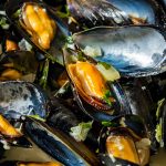 Mussels recipe