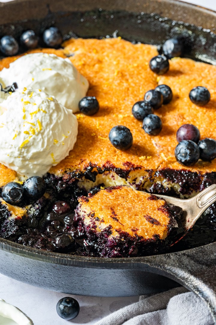 Blueberry cobbler with fresh blueberries and topped with ice cream