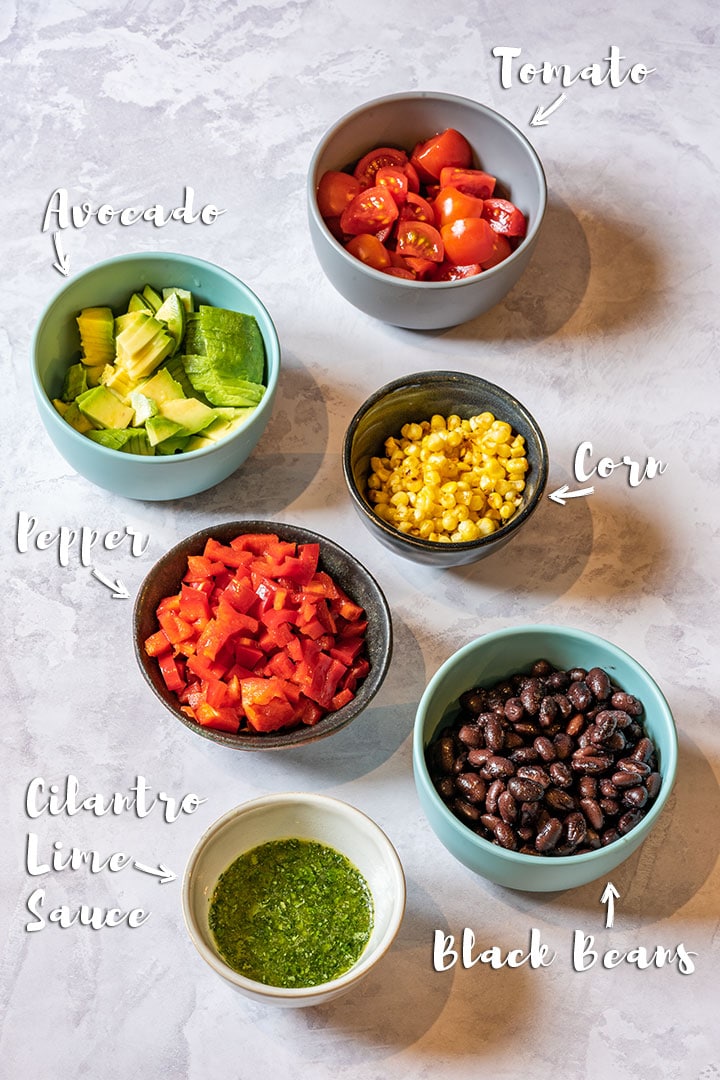 Vegetarian taco fillings - avocados, tomatos, corn, peppers, black beans and salsa