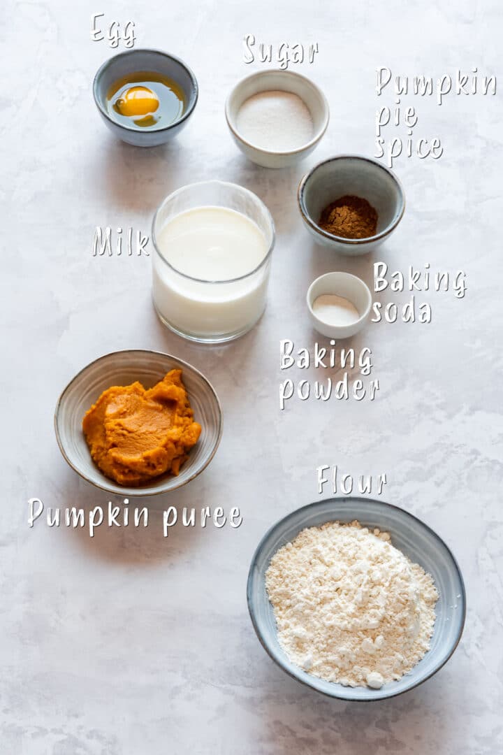 All the ingredients needed for pumpkin pancakes.
