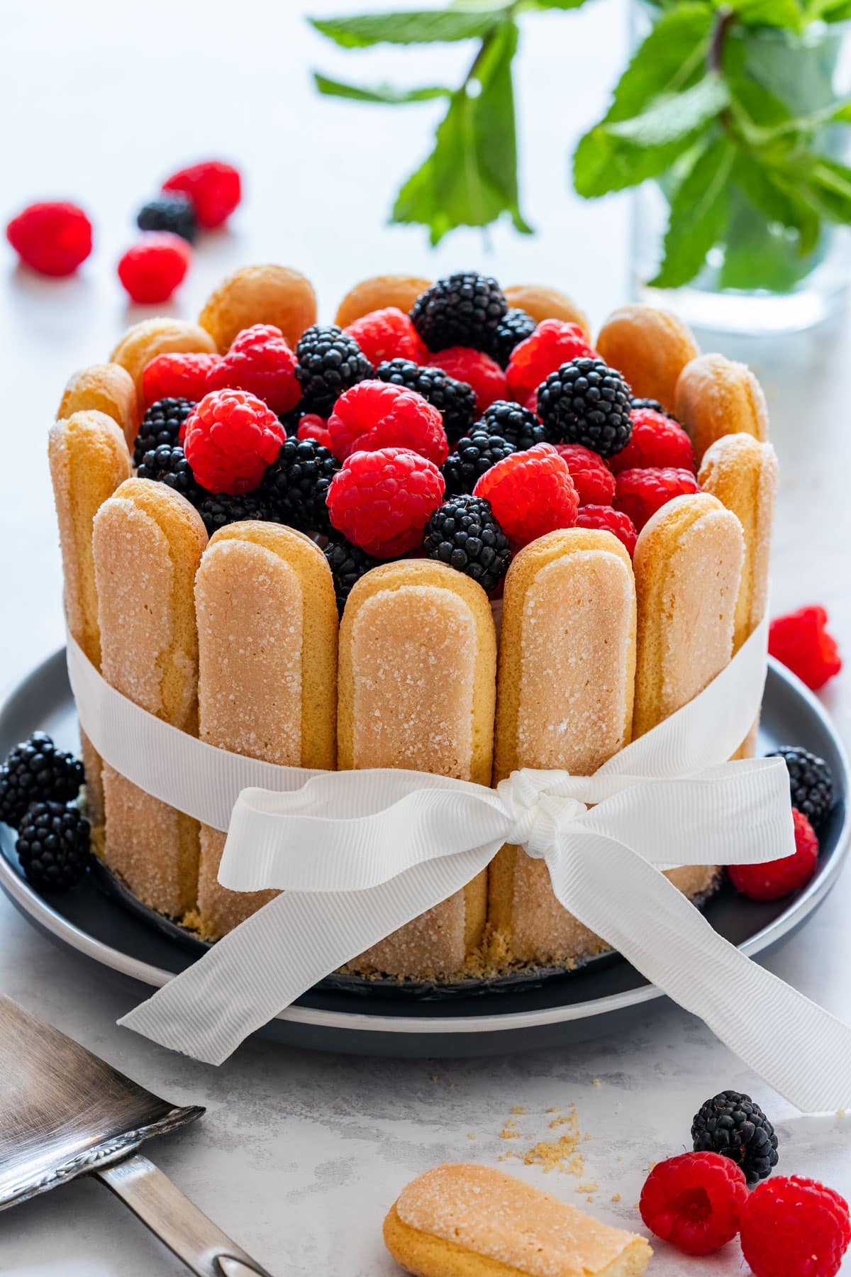 Close-up of a no-bake berry Charlotte cake topped with raspberries and blackberries, wrapped in ladyfingers and tied with a white ribbon.
