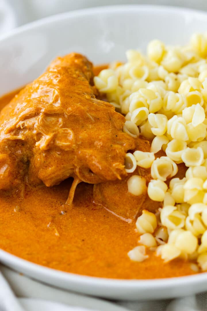 Close-up of chicken paprikash with small shell pasta in a creamy paprika sauce.