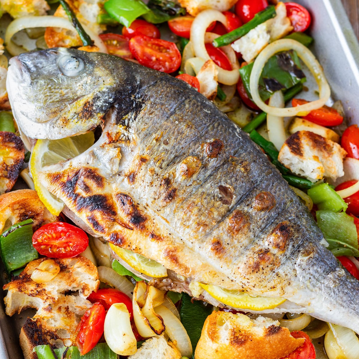 Overhead close-up of grilled whole fish with lemon slices, served on a warm grilled vegetable and bread salad.