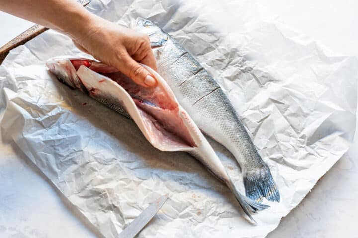 Cleaned whole branzino opened up to show the cavity before seasoning.
