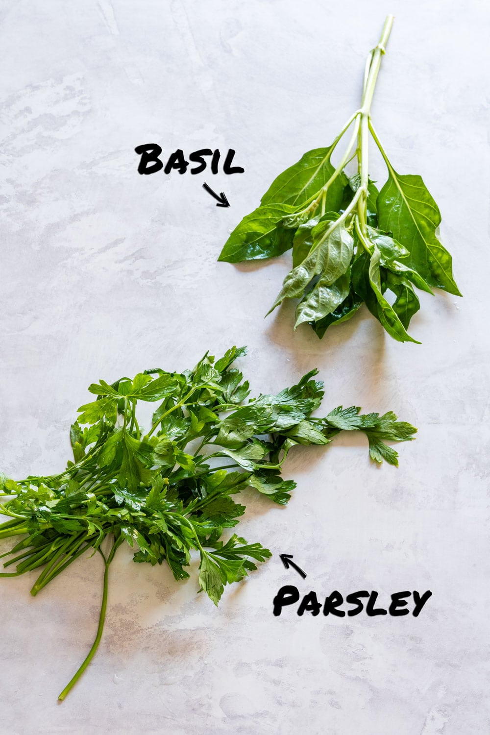 Fresh basil and flat-leaf parsley labeled on a light worktop.