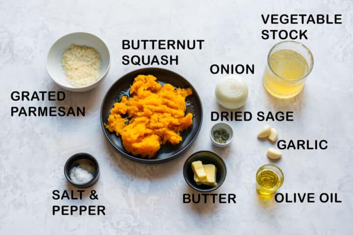 Ingredients for butternut squash pasta sauce including roasted squash, Parmesan, onion, vegetable stock, dried sage, garlic, butter, olive oil, salt and pepper.